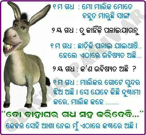 Odia Funny Shayari Photo Funny Png