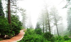 Daringbadi, Kandhamal, Odisha