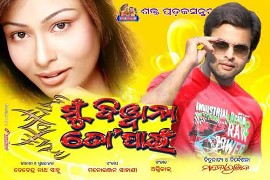 Odia full movie deewana clearance