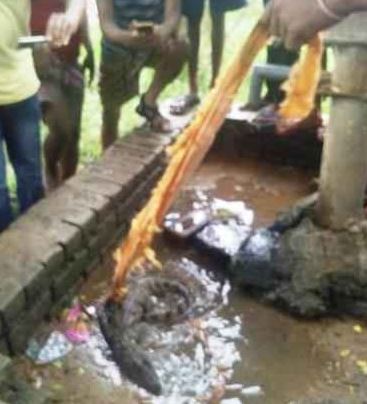 12Yr Boy Saves Father from Crocodile in Odisha-2017