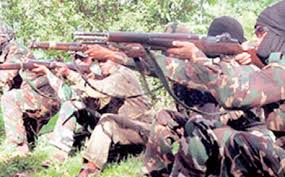 Two Border Security Force battalions reach state on anti-Red mission