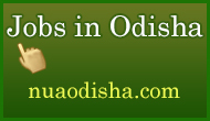 Various Position in Orissa Drugs & Chemicals Limited, Bhubaneswar