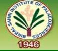 Technical Assistant Officer Post Vacancy in BSIP-Apr-2017