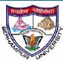Job Openings in Berhampur University-May-2017