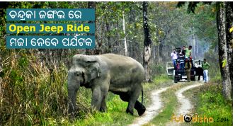 Open Top Jeep Ride in Chandaka Wildlife Sanctuary Odisha-2016