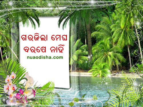 Odia Dhaga Dhamali