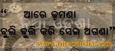 Odia Dhaga Dhamali