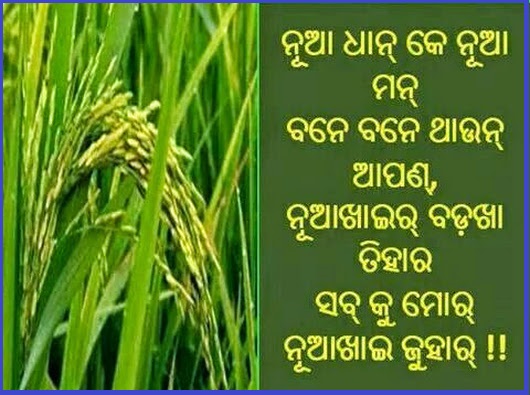 Happy NuaKhai Juhar Tihar Greetings Cards Scraps 2025 1