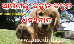 Facebook Comments Odia Funny Pictures, Images and Photos