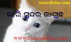 Facebook Comments Odia Funny Pictures, Images and Photos