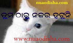 Facebook Comments Odia Funny Pictures, Images and Photos