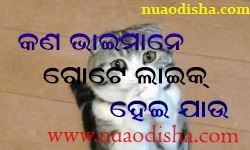 Facebook Comments Odia Funny Pictures, Images and Photos