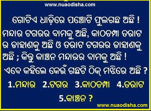 Odia Facebook  Questions Puzzles Pictures, Images and Photos