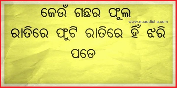 Odia Facebook  Questions Puzzles Pictures, Images and Photos