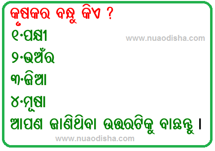 Odia Facebook  Questions Puzzles Pictures, Images and Photos