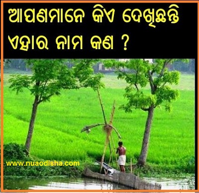 Odia Facebook  Questions Puzzles Pictures, Images and Photos