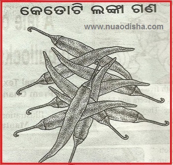 Odia Facebook  Questions Puzzles Pictures, Images and Photos