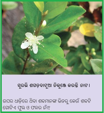 Odia Facebook  Questions Puzzles Pictures, Images and Photos