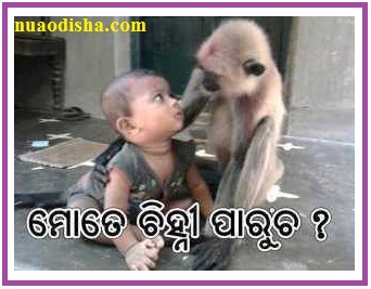 Odia Facebook  Questions Puzzles Pictures, Images and Photos